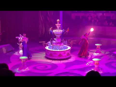 Видео: 10 марта 2019 г.