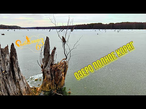 Видео: ОЗЕРО ПОЛНОЕ КОРЯГ, ПОСМОТРИМ КТО ТУТ ЭХОЛОТОМ Calypso. ЭТО ПЕРВОЛЕДЬЕ ИЛИ ГЛУХОЗИМЬЕ?