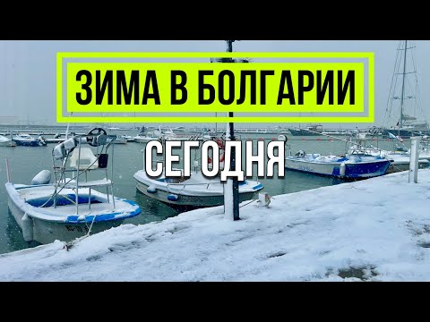 Видео: СНЕГ И МЕТЕЛЬ В БОЛГАРИИ - Настоящая зима 2025 Солнечный берег Свети Влас Яхт-порт Марина Диневи