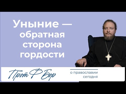Видео: Как не унывать. Священник Федор Бородин