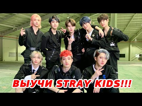 Видео: ТЕСТ КАК ХОРОШО ТЫ ЗНАЕШЬ УЧАСТНИКОВ STRAY KIDS! УЧИМ STRAY KIDS