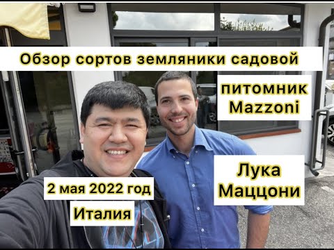 Видео: Обзор сортов клубники в питомнике Mazzoni.