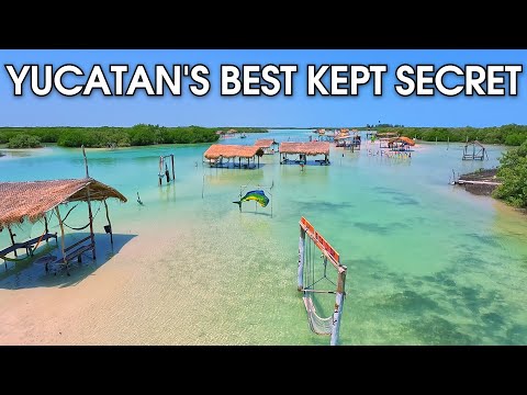 Видео: Исследование безмятежного северного побережья Юкатана и острова Колумпиос.
