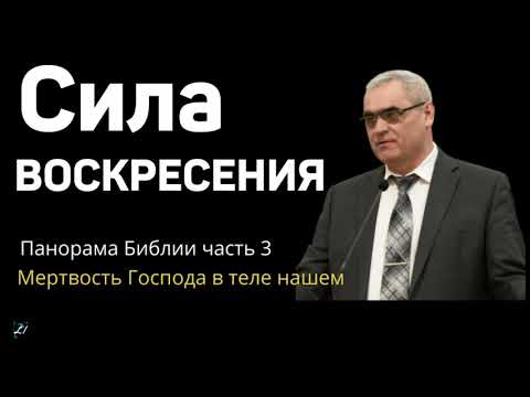 Видео: СИЛА ВОСКРЕСЕНИЯ  П.Н.Ситковский  МСЦ ЕХБ