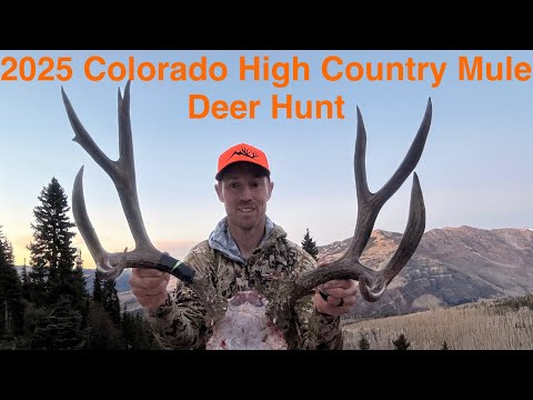 Видео: Охота на оленей-мулов в высокогорной местности Колорадо, 2025 г.