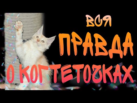 Видео: КОГТЕТОЧКИ: как выбрать и не переплатить