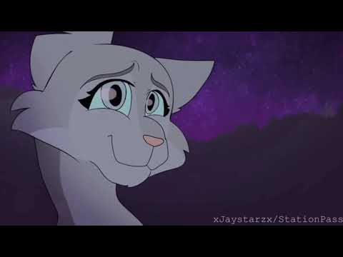 Видео: AMV Граф Орлов - Есть у тебя одна ночь | Коты-Воители