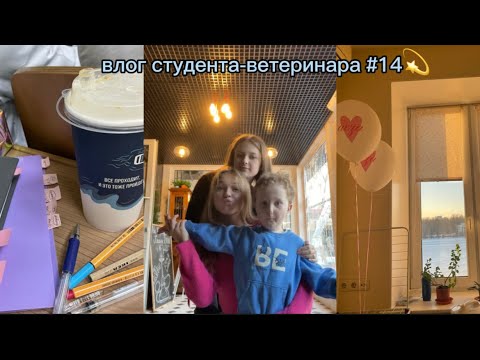 Видео: влог студента-ветеринара #14