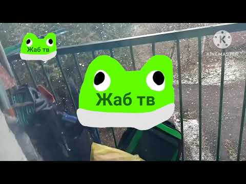 Видео: Конец вещания гуськасель начало вещания жаб тв. В хорошем качестве. 