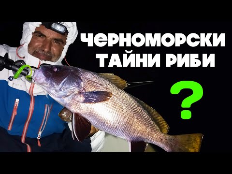 Видео: Рибарската история на 1-вия РАПЪР в БЪЛГАРИЯ