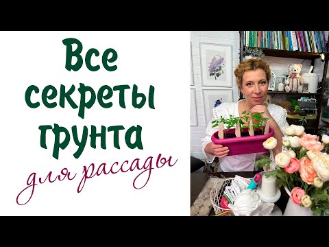 Видео: Все секреты грунта для рассады