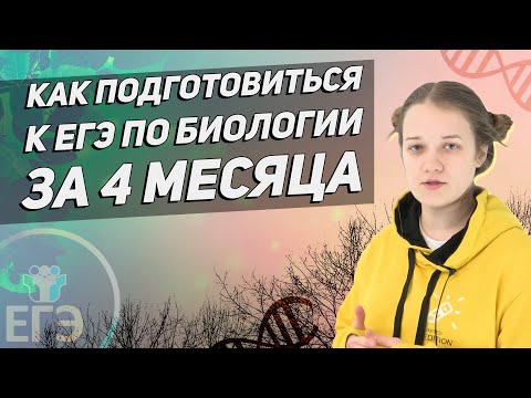 Видео: Как подготовиться к ЕГЭ 2021 по биологии за 4 МЕСЯЦА