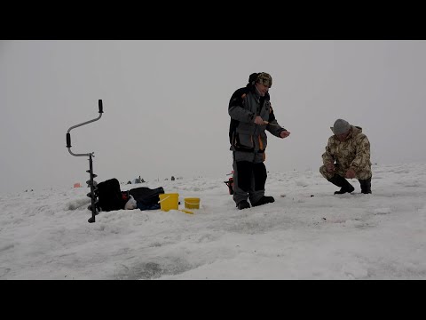 Видео: Лазурный берег 190125. Рыбалка в удовольствие.#рыбалка #капчагай #fishing