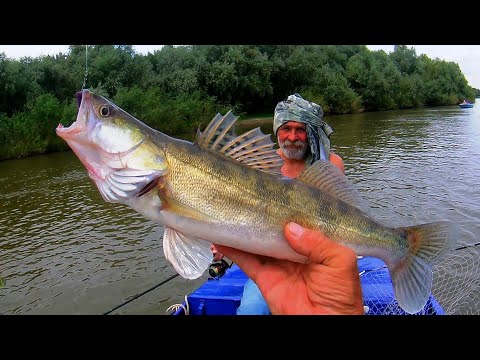 Видео: ИДЁМ ВВЕРХ И ИЩЕМ ХИЩНИКА