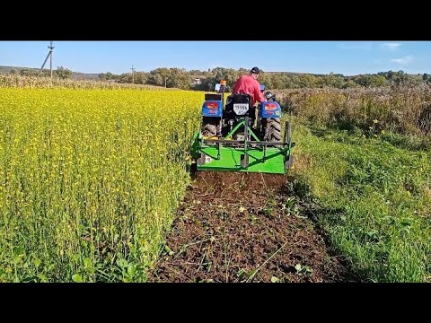 Видео: Фреза Бомет(Bomet) 1.4 Фрезуємо сидерати (гірчиця ріпак)