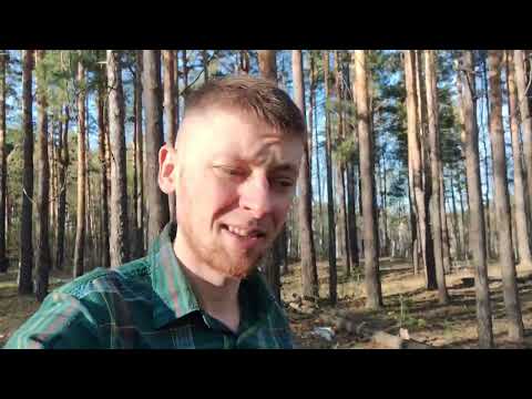 Видео: леший 2 и прогулка в болота