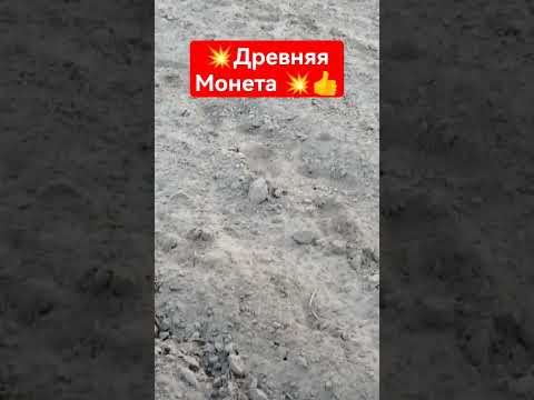 Видео: 💥НАШЁЛ ДРЕВНЮЮ МОНЕТУ 💥#коп #metaldetecting #находка