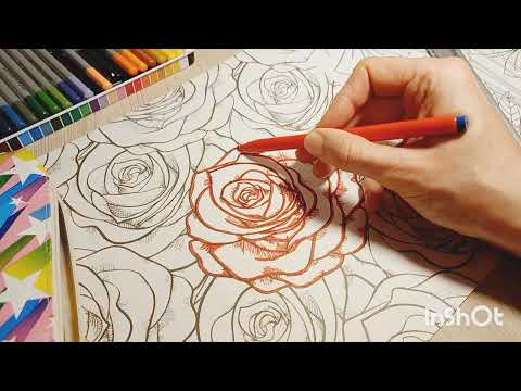 Видео: Раскраска "Розы"
