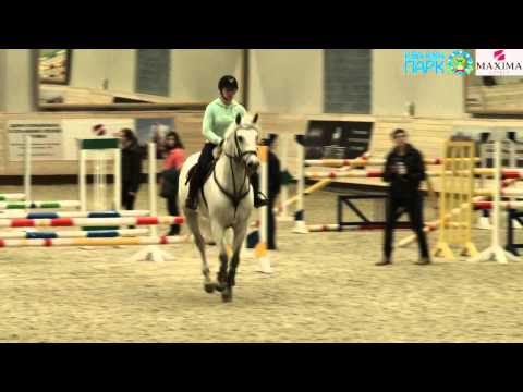 Видео: Мастер-класс для конкуристов с Куртом Гравемайером  в Maxima Stables 2-5