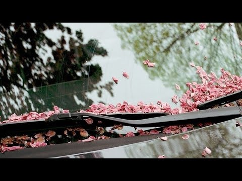 Видео: 3 часть. Родовая программа 🌳🏡✨🌿✨. Материнская линия 🌳🏡🌿✨