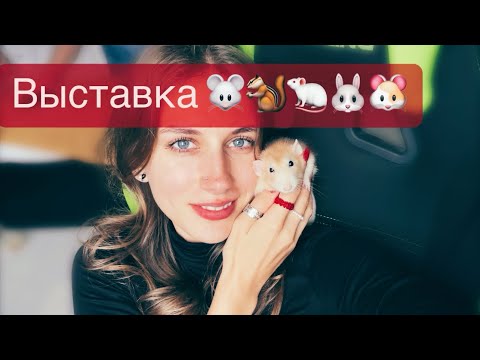 Видео: ЗооПалитра 2023 🐭| Выставка грызунов 🐀