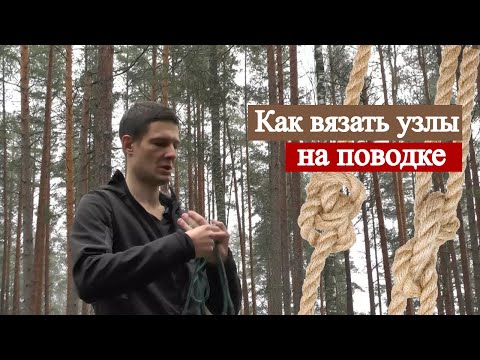 Видео: Как сделать удобный ПОВОДОК из ВЕРЕВКИ !