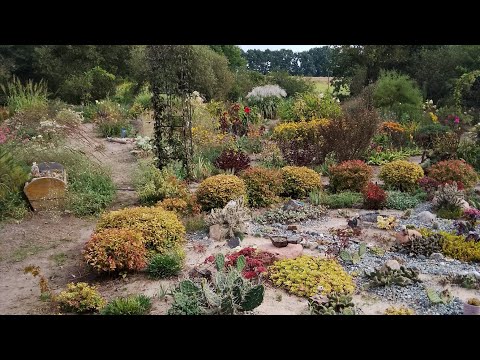Видео: Роботи садові.💪 Переробка клумби для нових рослин.🧑‍🌾