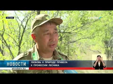 Видео: Любовь  к  природе  привела  к  профессии  лесника