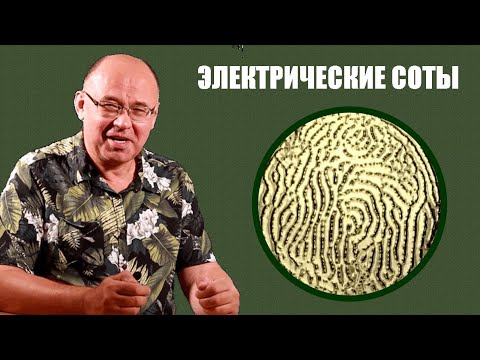 Видео: Электрические соты