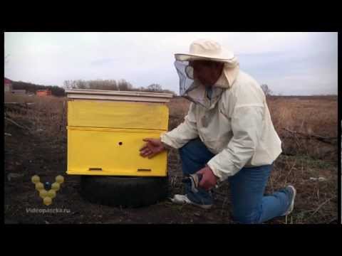 Видео: Зачем красить ульи, покраска ульев, краска для ульев