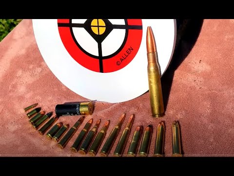 Видео: Стальная мишень Walmart AR500 против всего (даже 50 BMG)