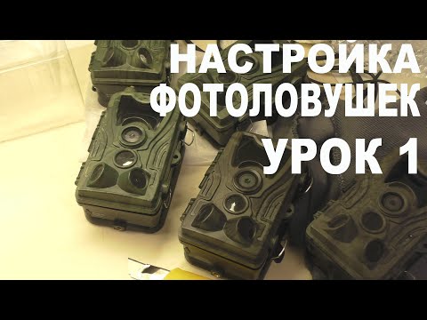 Видео: Настройка фотоловушек УРОК 1