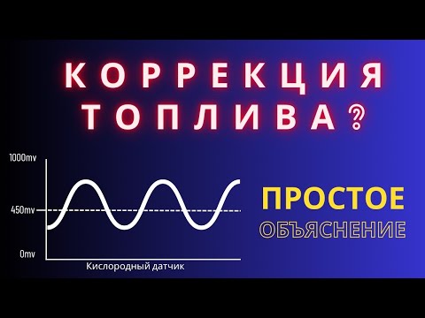 Видео: Корреция топлива.