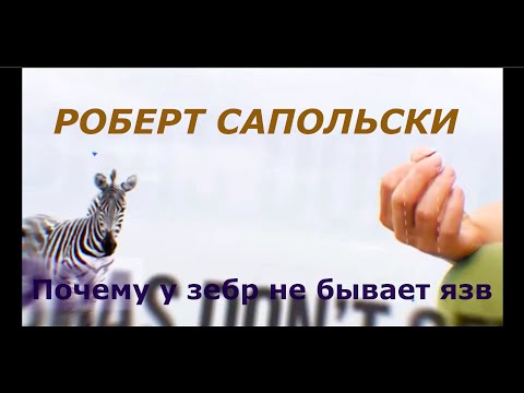 Видео: Роберт Сапольски. Почему у зебр не бывает язв. Перевод студии СТАХАНОВ2000