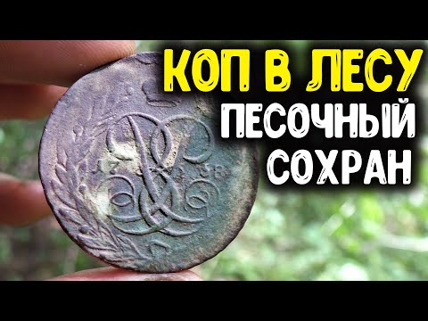 Видео: С МЕТАЛЛОИСКАТЕЛЕМ В ЛЕСУ НАШЕЛ ЦАРСКИЕ МОНЕТЫ ПОИСК МОНЕТ НАХОДКИ В ЛЕСУ КОП 2020