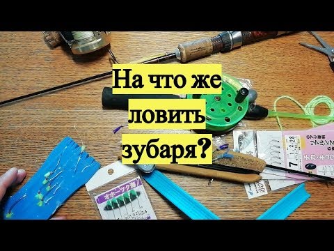 Видео: На что же ловить зубаря?