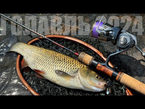 Видео: Голавль 2024🎣 Выбор спиннинга и открытие сезона!