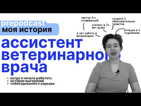 Видео: ветеринарная медсестра | моя история