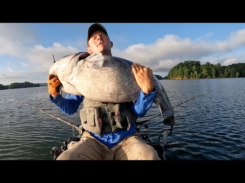 Видео: Я ПОПАЛ НА Крючок РЕЧНОГО МОНСТРА!!!!