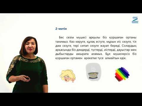 Видео: Дене мүшелері