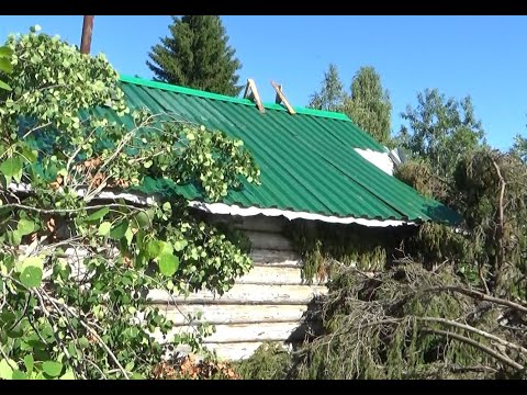 Видео: Огромная ель упала на избу после урагана, лес в округе просто повалило, едем спасать базу.