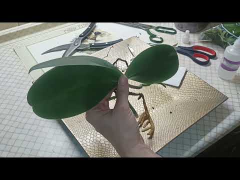 Видео: Жуткая пересадка на Хэллоуин.