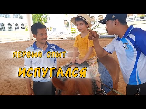 Видео: Нашли школу верховой езды для деток в Паттайе