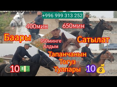 Видео: Тапанча+996/999/313/252