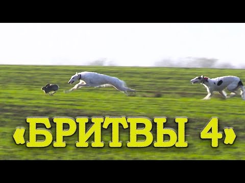 Видео: Бритвы ч4  Состязания памяти В В  Дороничева 15 11 2020г