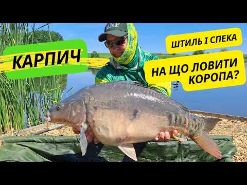 Видео: АНОМАЛЬНА СПЕКА. НА ЩО ЛОВИТИ КОРОПА. Рибалка на водоймі Карпич