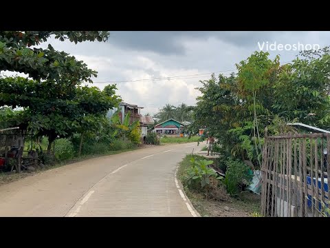 Видео: Филиппины / аренда земли / нюансы закона /минусы /на что обратить внимание / предложение