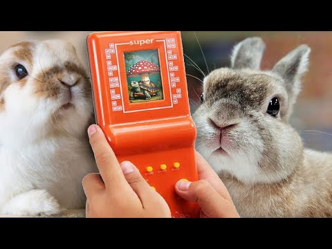 Видео: Ретроигры с Дарьей (NES, SEGA, SNES, etc.) #41