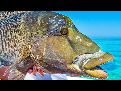 Видео: В этом месте для рыбалки можно поймать что угодно