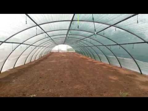 Видео: Туман для  кассетной рассады